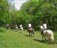/album/salida-caballo-30-03-2014/caballo-ex-jpg1/