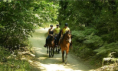 /album/salida-caballo-30-03-2014/a8-png/